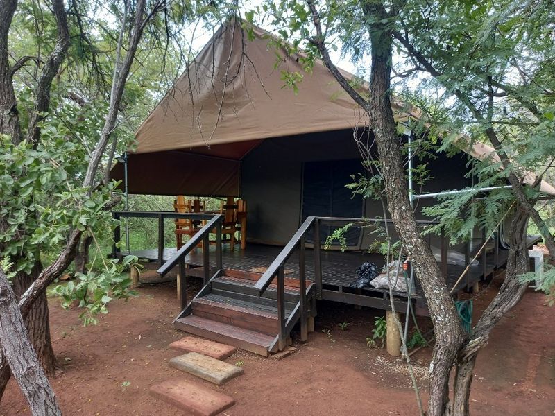Established Bush lodge for sale in Dinokeng Big 5 reservation  - Photo 4