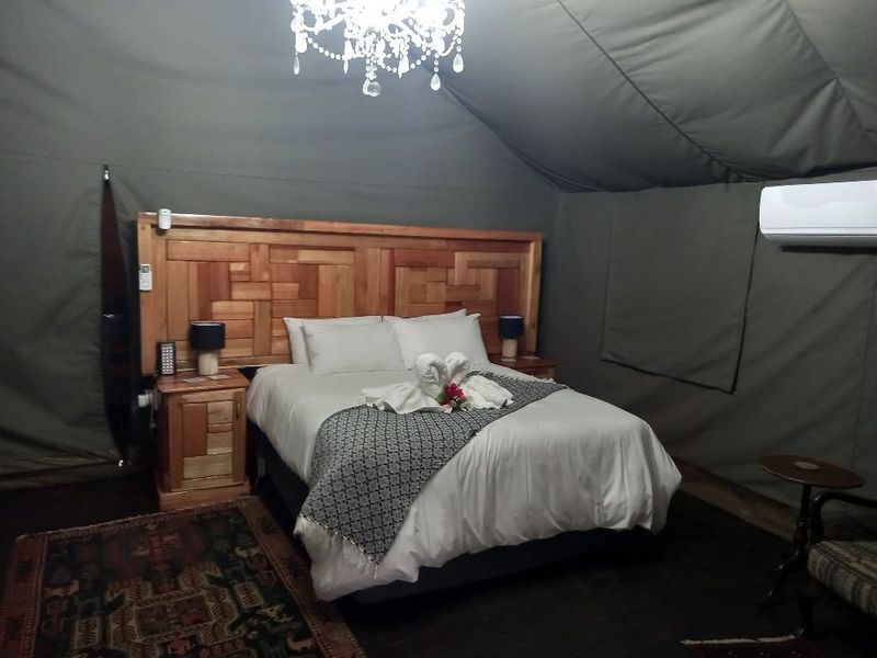 Established Bush lodge for sale in Dinokeng Big 5 reservation  - Photo 10