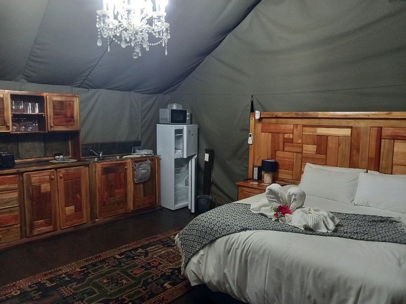 Established Bush lodge for sale in Dinokeng Big 5 reservation  - Photo 8