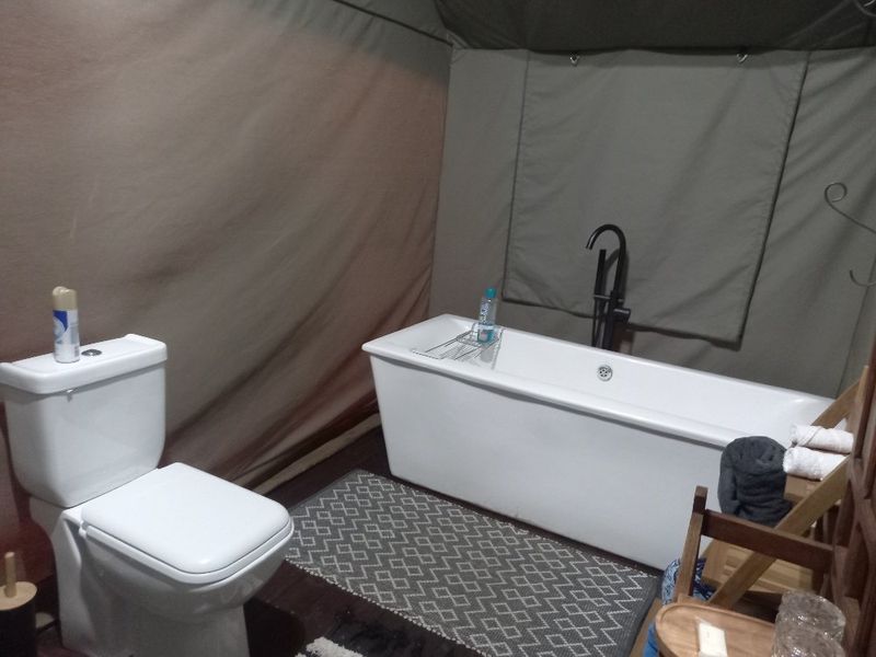 Established Bush lodge for sale in Dinokeng Big 5 reservation  - Photo 7