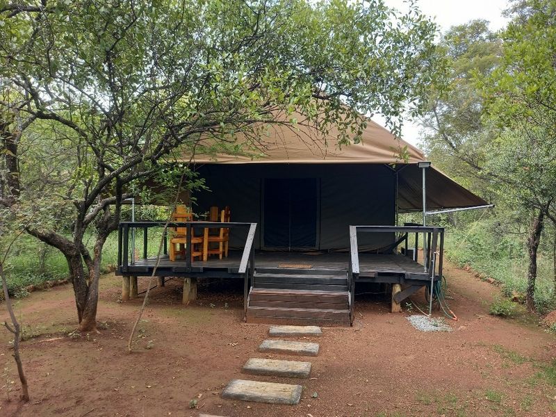 Established Bush lodge for sale in Dinokeng Big 5 reservation  - Photo 9