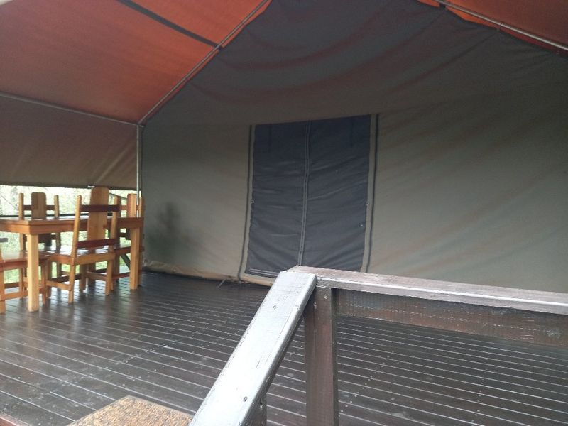 Established Bush lodge for sale in Dinokeng Big 5 reservation  - Photo 6