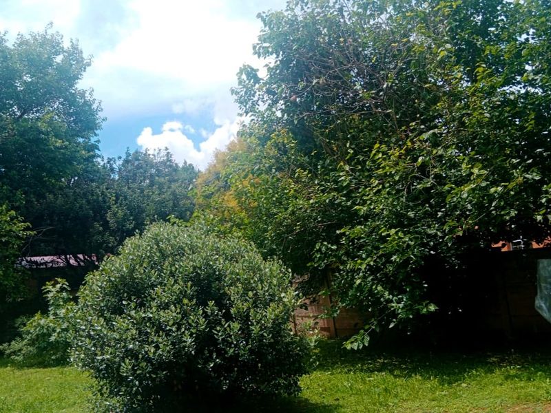 Spacious three bedroom house for sale. - Photo 9