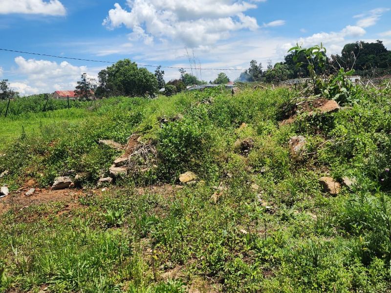 Commercial Land forsale - Photo 6