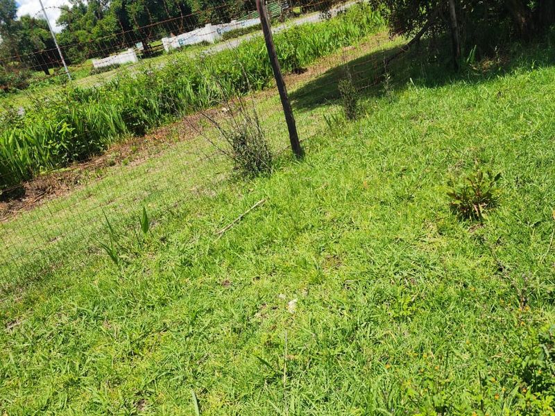 Commercial Land forsale - Photo 5