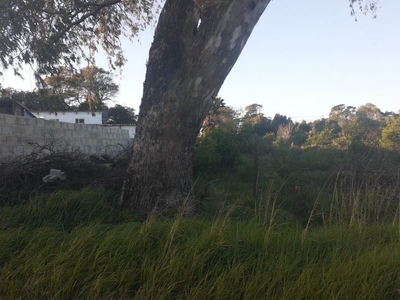 Vacant land for sale in Greenbushes - Photo 6