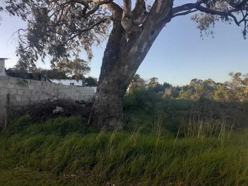 Vacant land for sale in Greenbushes - Photo 1
