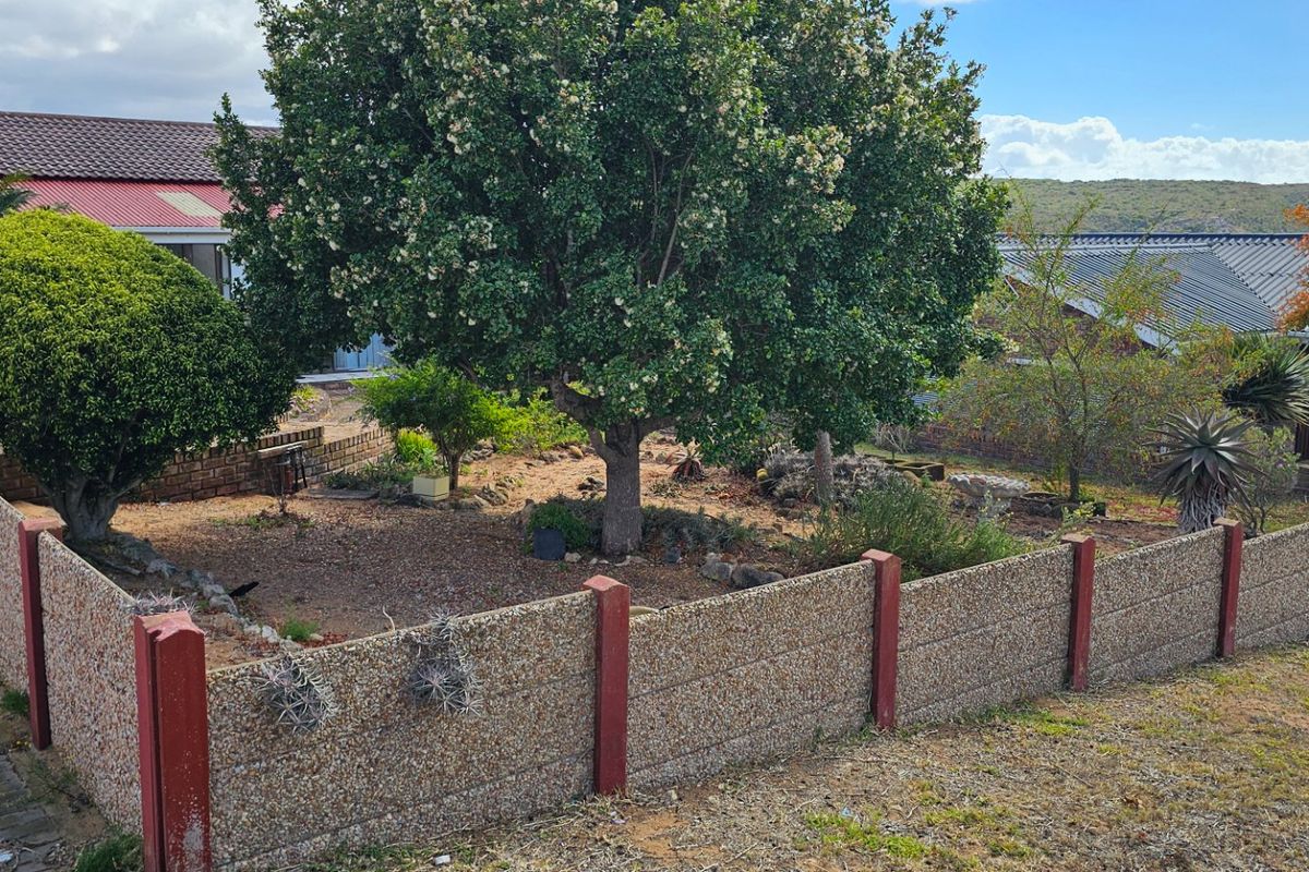 Bargain in Stilbaai - Photo 4