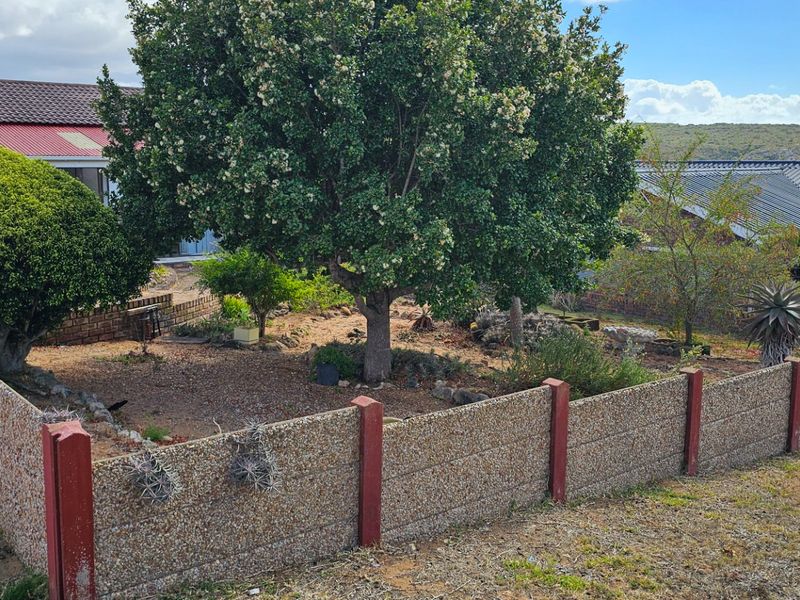 Bargain in Stilbaai - Photo 4