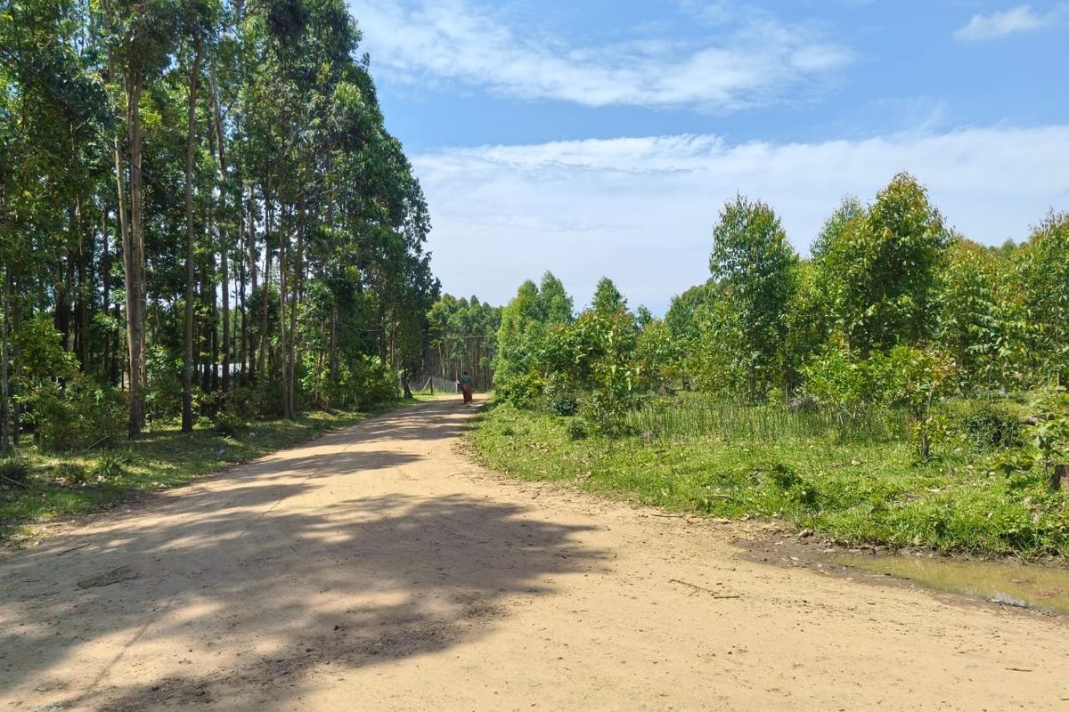 0 Bed Vacant Land in Mzingazi for Sale - Photo 2