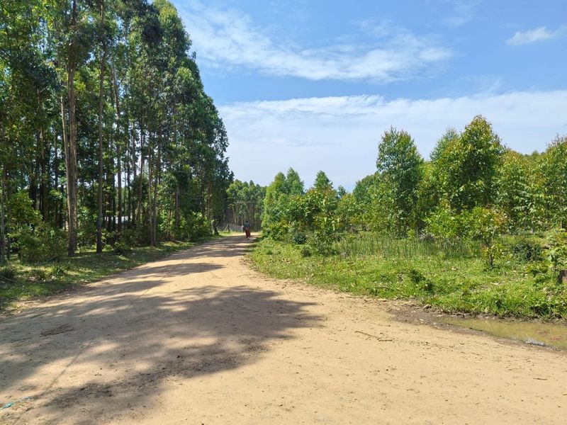 0 Bed Vacant Land in Mzingazi for Sale - Photo 2