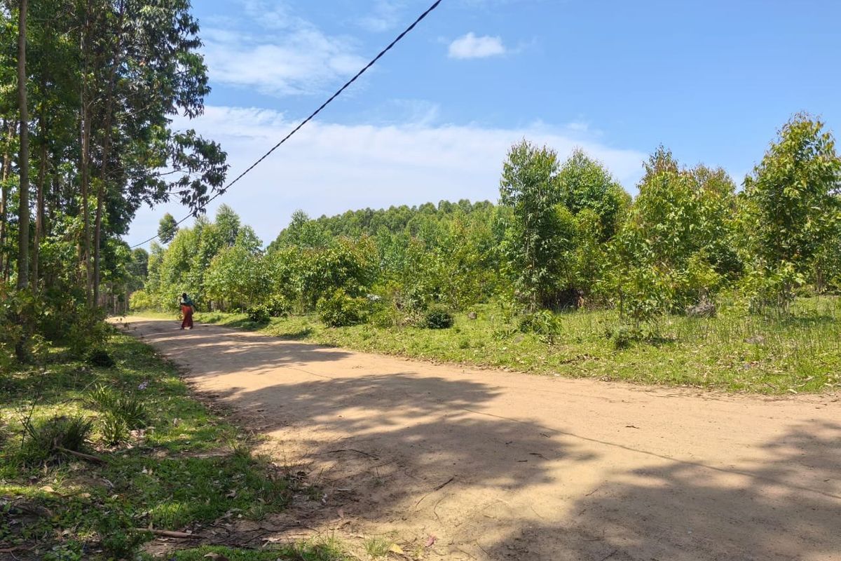 0 Bed Vacant Land in Mzingazi for Sale - Photo 5