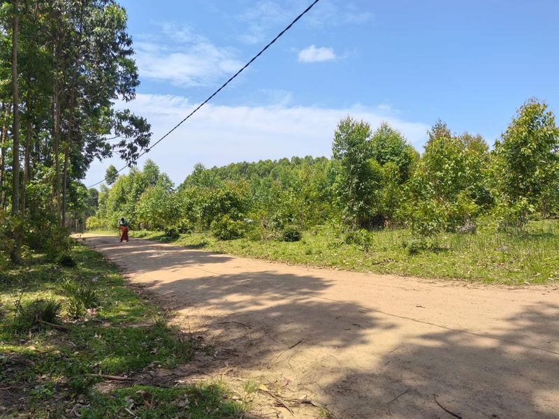 0 Bed Vacant Land in Mzingazi for Sale - Photo 5