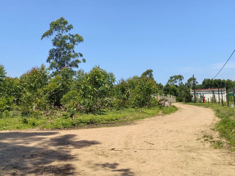 0 Bed Vacant Land in Mzingazi for Sale - Photo 8