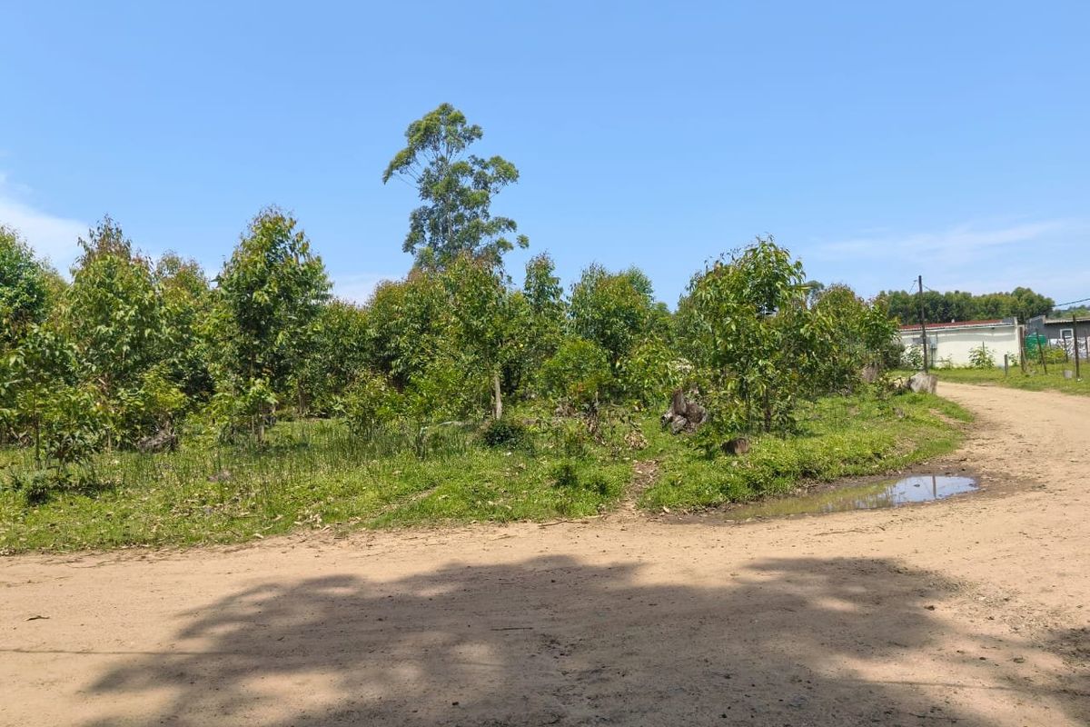 0 Bed Vacant Land in Mzingazi for Sale - Photo 3