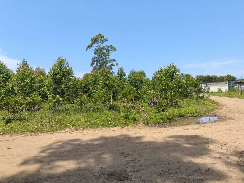 0 Bed Vacant Land in Mzingazi for Sale - Photo 3