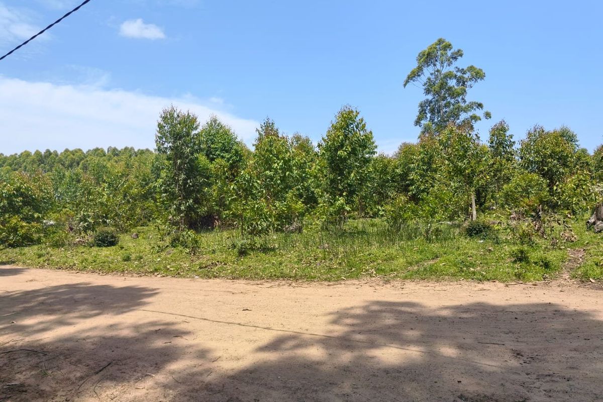 0 Bed Vacant Land in Mzingazi for Sale - Photo 4
