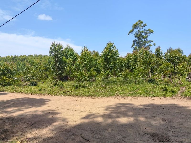 0 Bed Vacant Land in Mzingazi for Sale - Photo 4