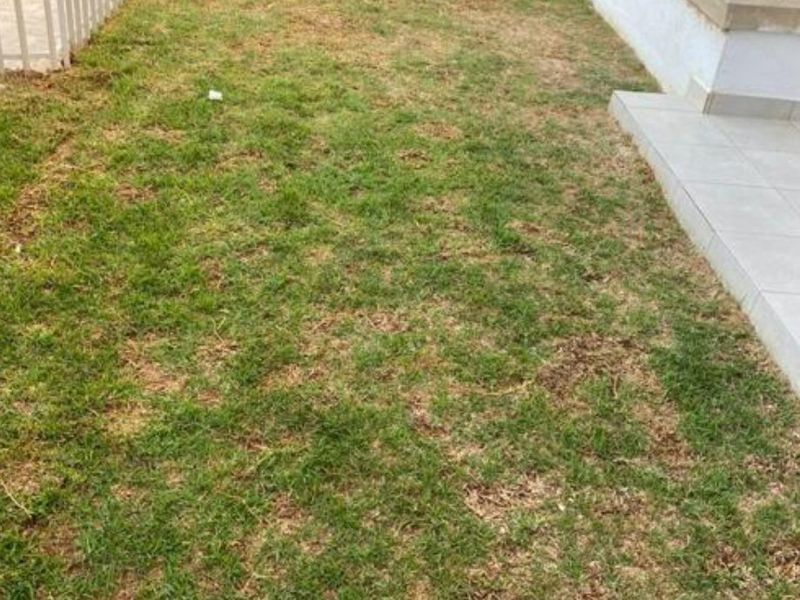 2 Bedroom Garden Apartment with Appliances for Rent in Broadacres - Photo 10