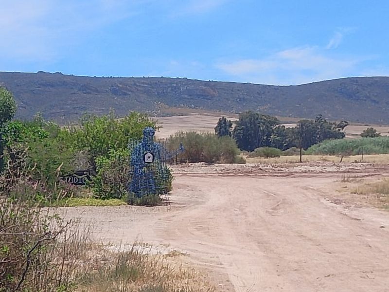 Yet another GEM up for grabs in the Beautiful West Coast - Photo 5