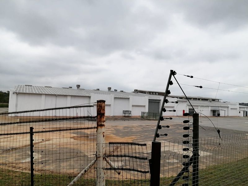 4695 SQUARE METERS COMMERCIAL BUSINESS PROPERTY FOR RENTAL - Photo 3