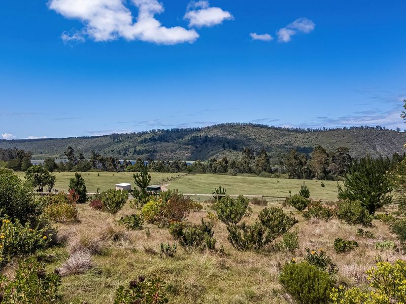 A scenic landscape view overlooking expansive green pastures, rolling hills, and natural vegetation on a clear sunny day.