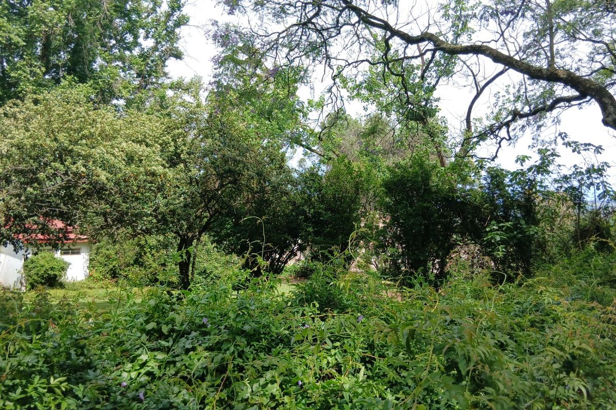 Land forsale - Photo 5