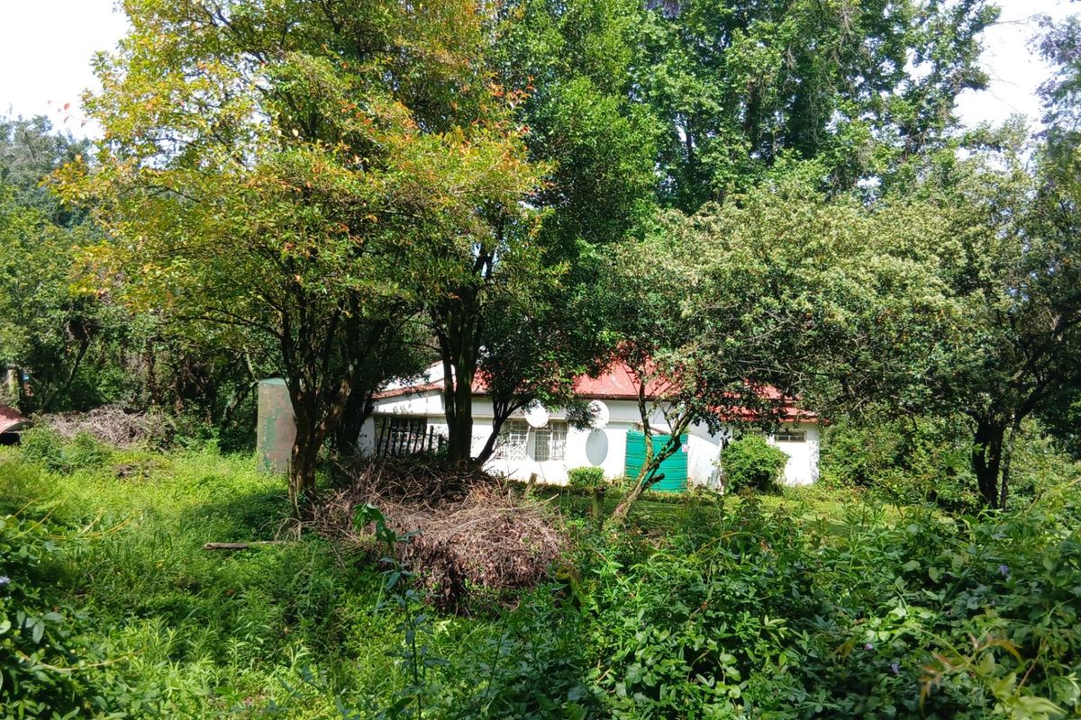 Land forsale - Photo 4