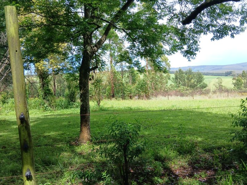 Land forsale - Photo 9