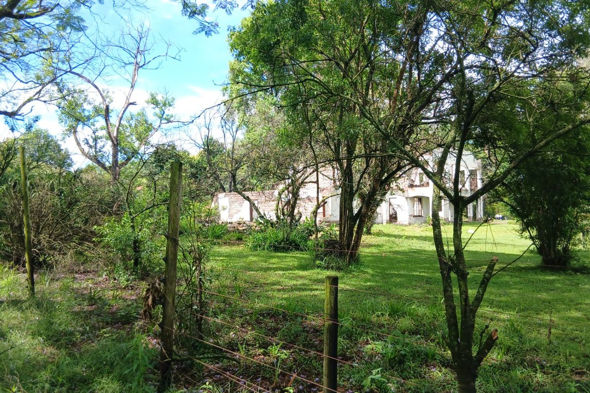 Land forsale - Photo 3