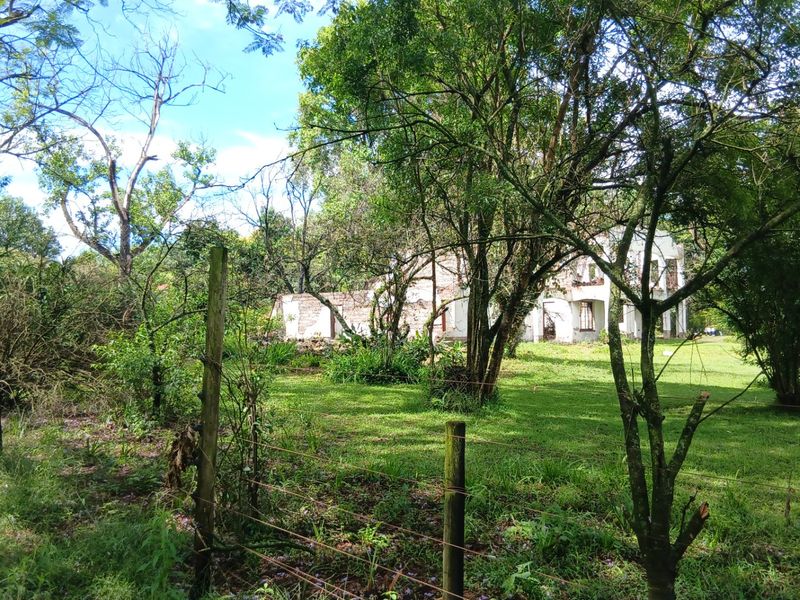 Land forsale - Photo 4