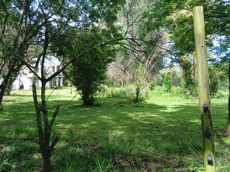 Land forsale - Photo 9