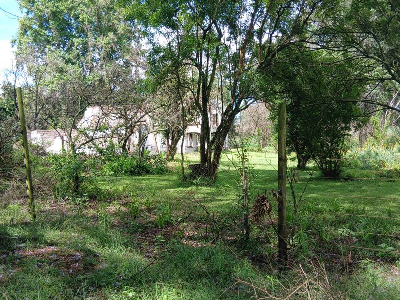 Land forsale - Photo 8