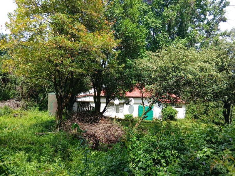 Land forsale - Photo 5