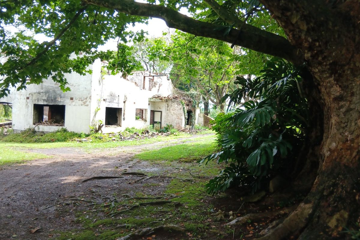 Land forsale - Photo 2