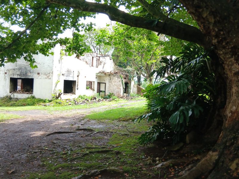 Land forsale - Photo 2