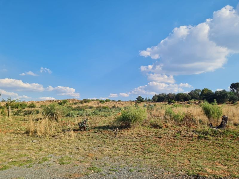 28 Hectares of land - Photo 4
