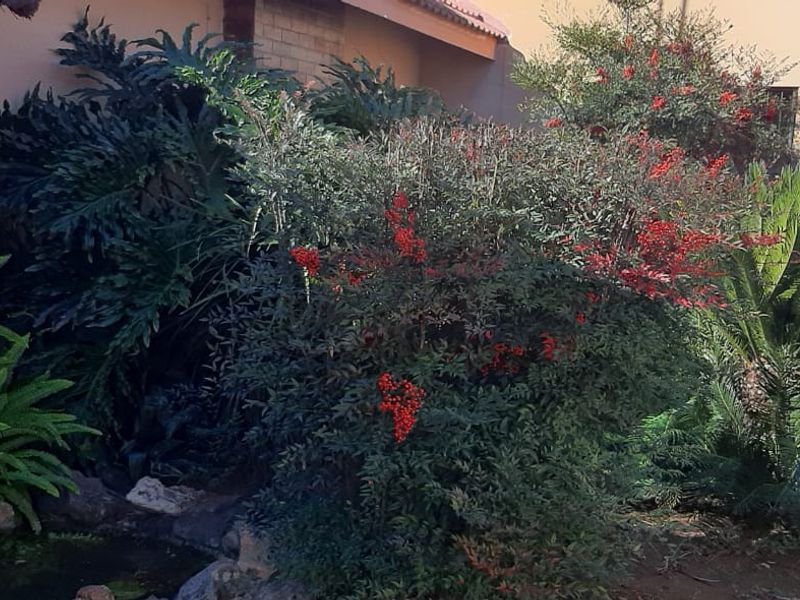 Charming 3-Bedroom Family Home with Flatlet & Pool – Priced to Sell! - Photo 8