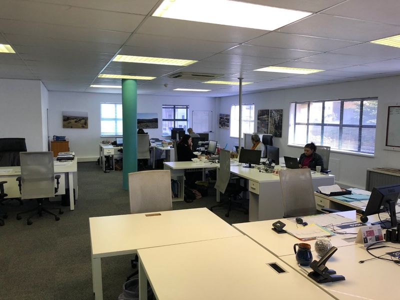 Versatile Commercial Space To Entertain - Photo 9