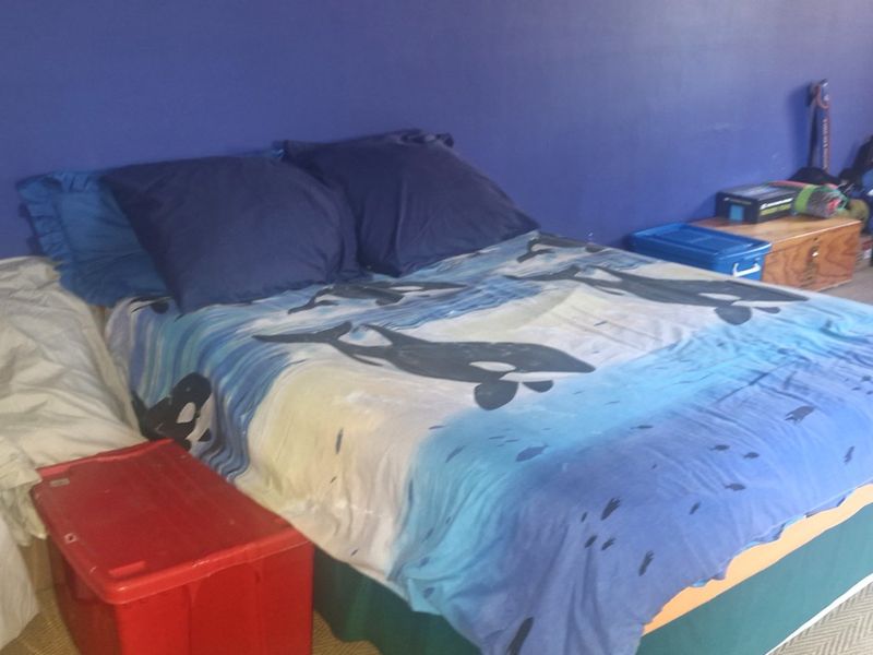 Spacious  North - Facing  3 Bedroom  2 Bathrooms  Loft , Private Garden  2 Lock Up Garages  Freestanding Home - Photo 10