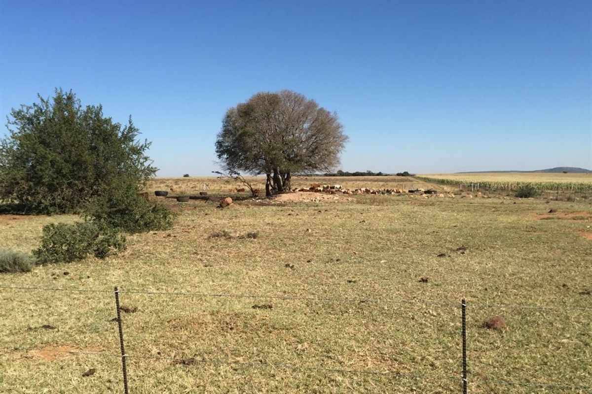 UITSTEKEND GELEE - Photo 5