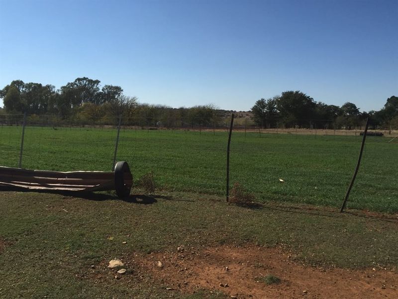 UITSTEKEND GELEE - Photo 2