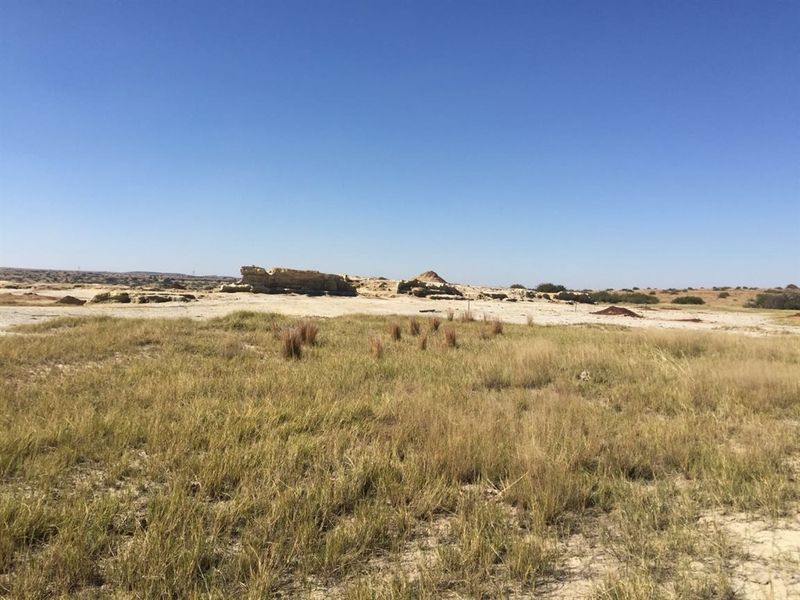 UITSTEKEND GELEE - Photo 9