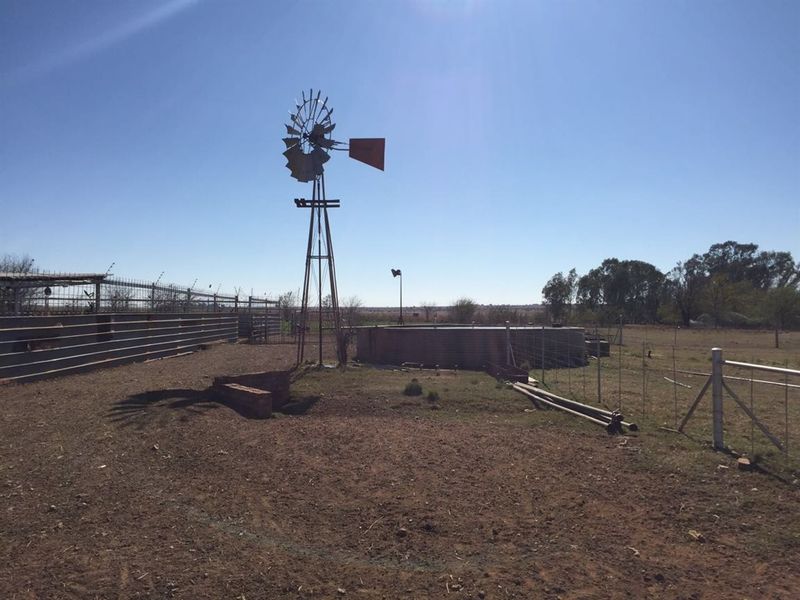 UITSTEKEND GELEE - Photo 4