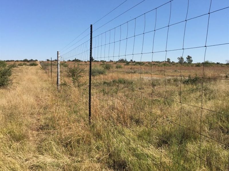 UITSTEKEND GELEE - Photo 10