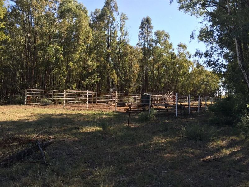 UITSTEKEND GELEE - Photo 6