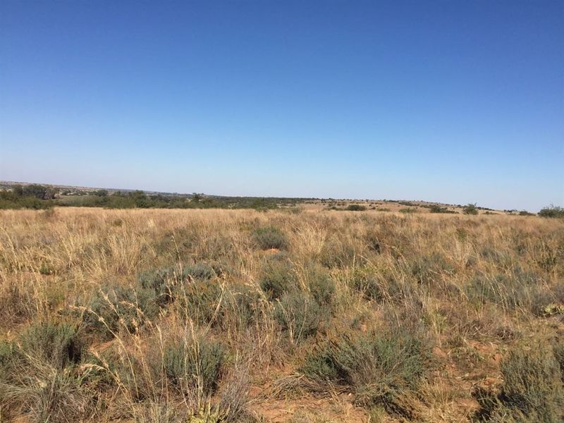 UITSTEKEND GELEE - Photo 7