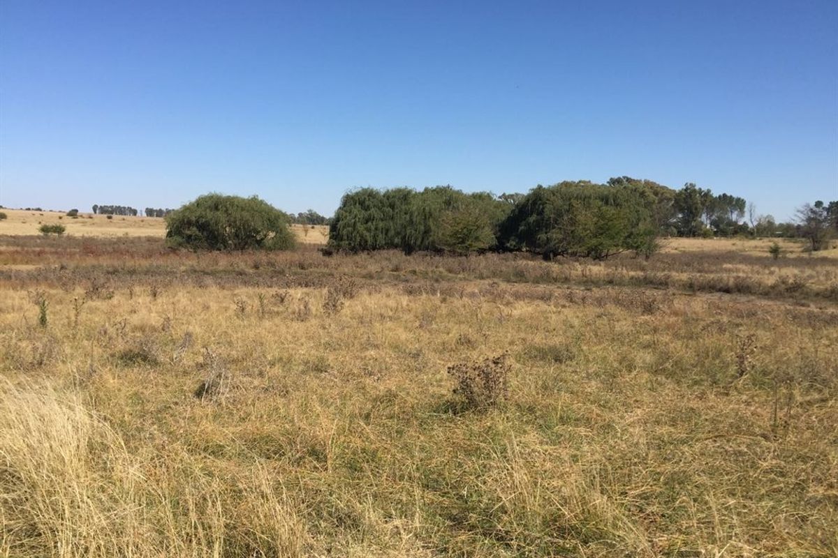 A wide-angle view of the open farm landscape featuring natural dry grassland and scattered mature trees under a clear blue sky.