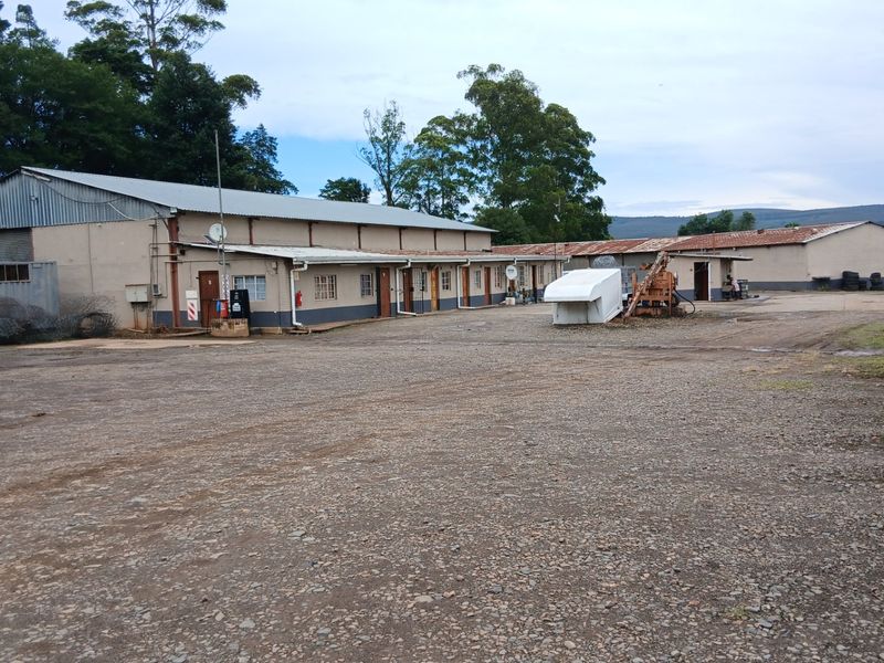 Farm forsale - Photo 10