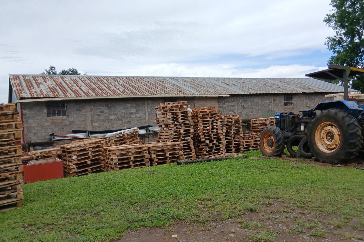 Farm forsale - Photo 5